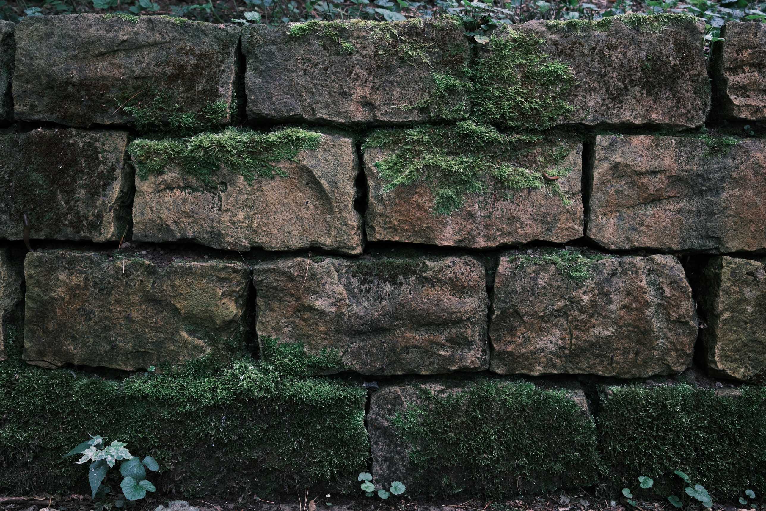 Hintergrundbild